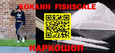 индика Можга