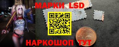 индика Можга