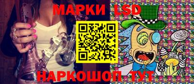 индика Можга