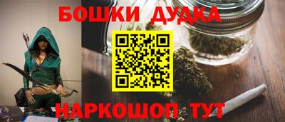 индика Можга
