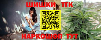 индика Можга
