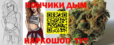 индика Можга