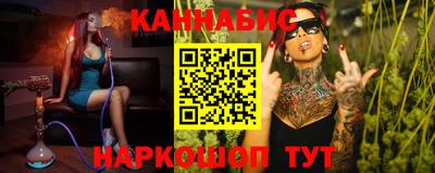 индика Можга
