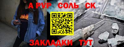 индика Можга