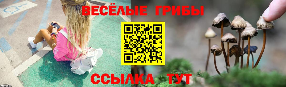 Дедовск  Псилоцибиновые грибы Psilocybine cubensis  Вход с VPN 